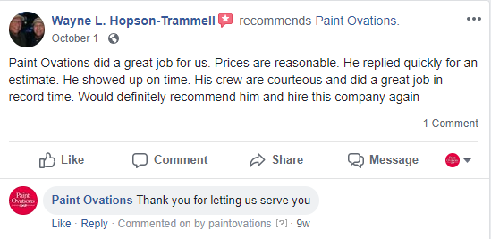 FB2 Paint Ovations Reviews